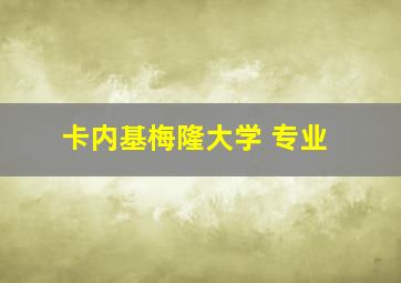 卡内基梅隆大学 专业